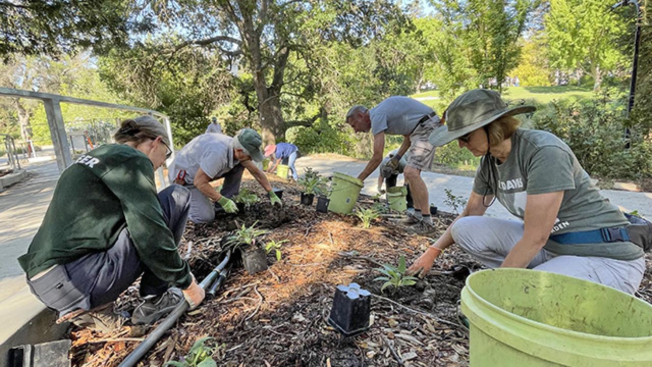 2023 Volunteer Recruitment UC Davis Arboretum And Public Garden 2023-volunteer-recruitment-uc-davis-arboretum-and-public-garden